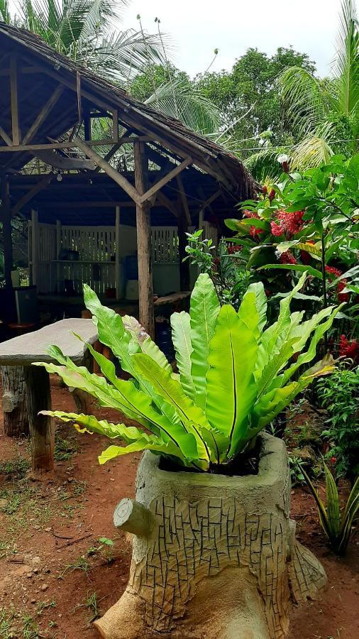 Travis Post Homestay Siquijor Esterno foto