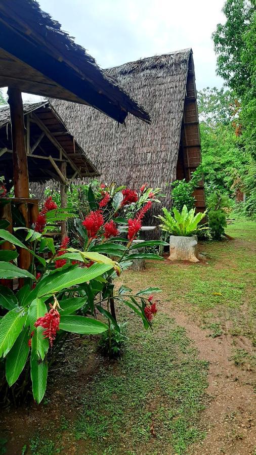 Travis Post Homestay Siquijor Esterno foto
